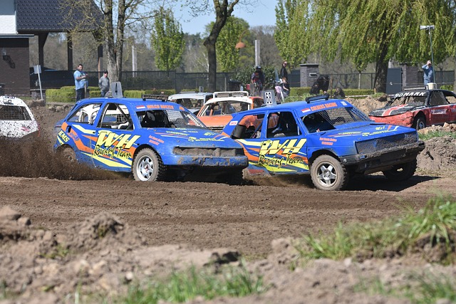 素的制约 素的制约