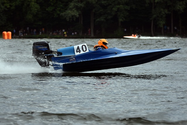 在过去的几 在过去的几