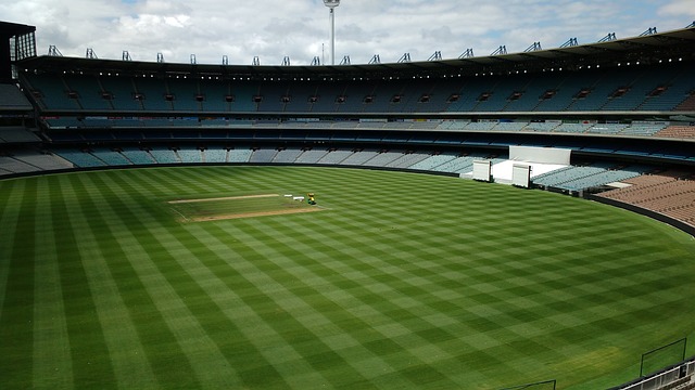 因素之一 因素之一