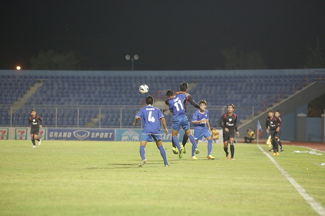 在于其引进 在于其引进