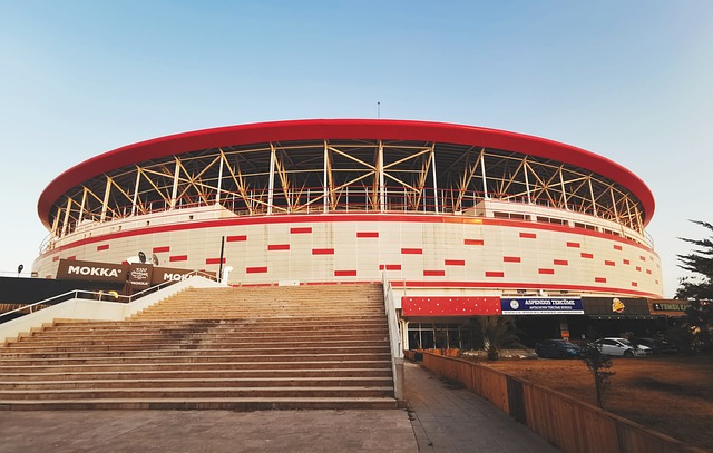 应对海牛队 应对海牛队