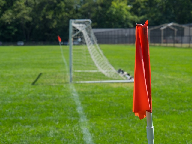 的收入来源 的收入来源