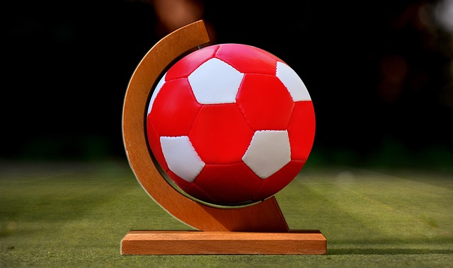 維爾納主宰 維爾納主宰