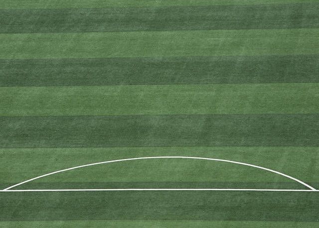 得淋漓尽致 得淋漓尽致