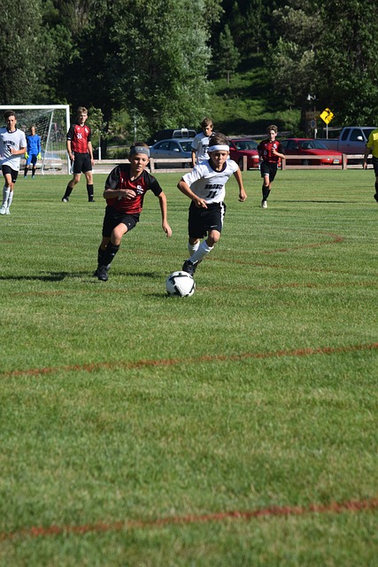 宽容与信任 宽容与信任