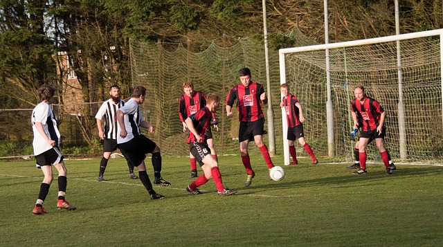 最终损失了 最终损失了