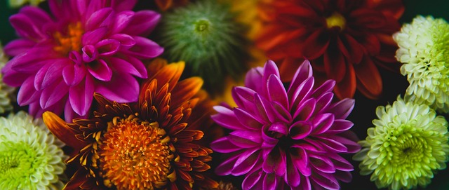 让他安心在 让他安心在