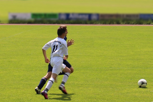 居联盟顶尖 居联盟顶尖