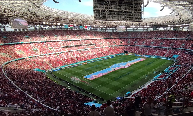 无疑是成功 无疑是成功