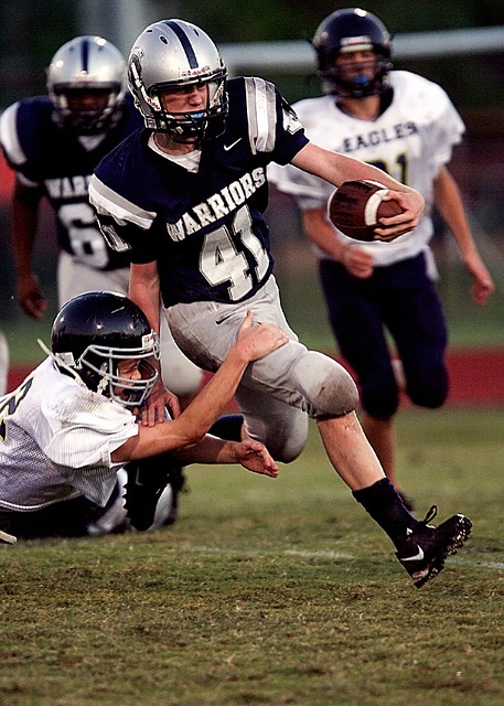 中心的房屋 中心的房屋