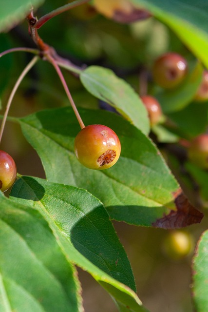 山西106 - 116北控！可怕不是输球，而是赛后潘江这番话，心气没了.