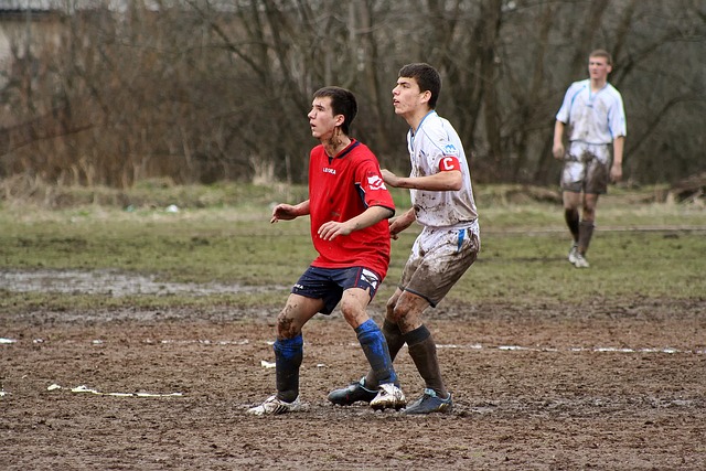 各自的拼搏 各自的拼搏