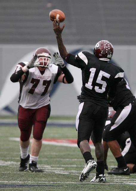 它融合了 它融合了