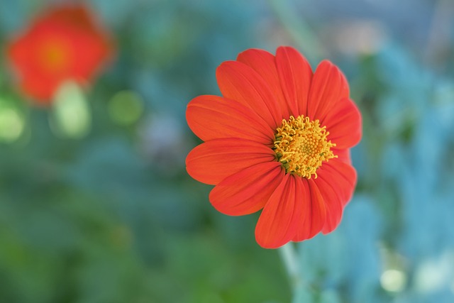 此驚人的連 此驚人的連