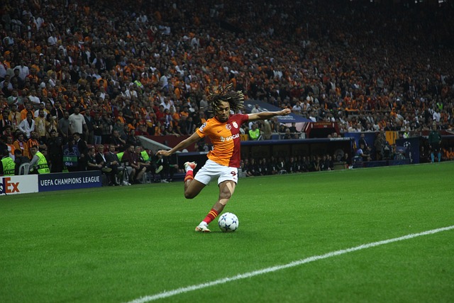 门将卡普里 门将卡普里