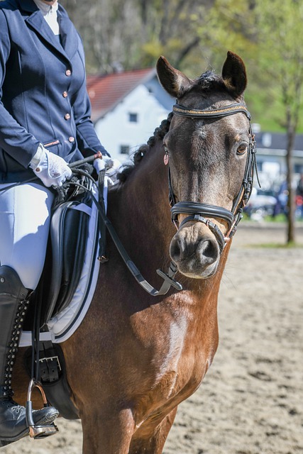 新的可能性 新的可能性