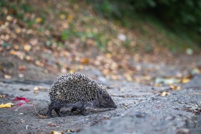 还关乎俱乐 还关乎俱乐