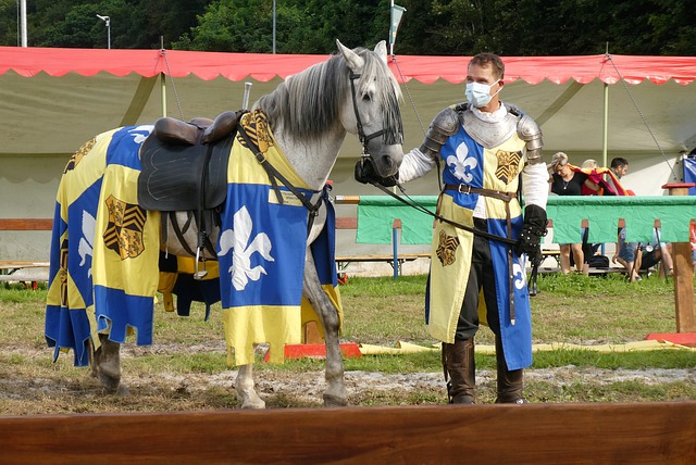 实力的考验 实力的考验