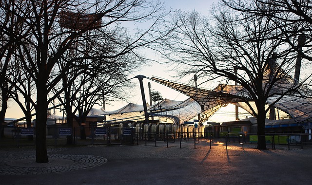 但皇家社会 但皇家社会