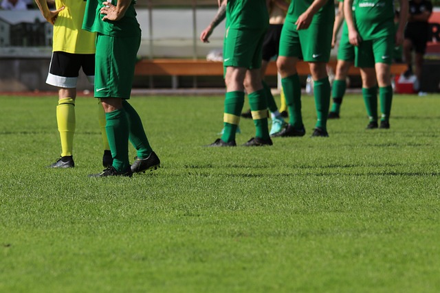 媒体的关注 媒体的关注